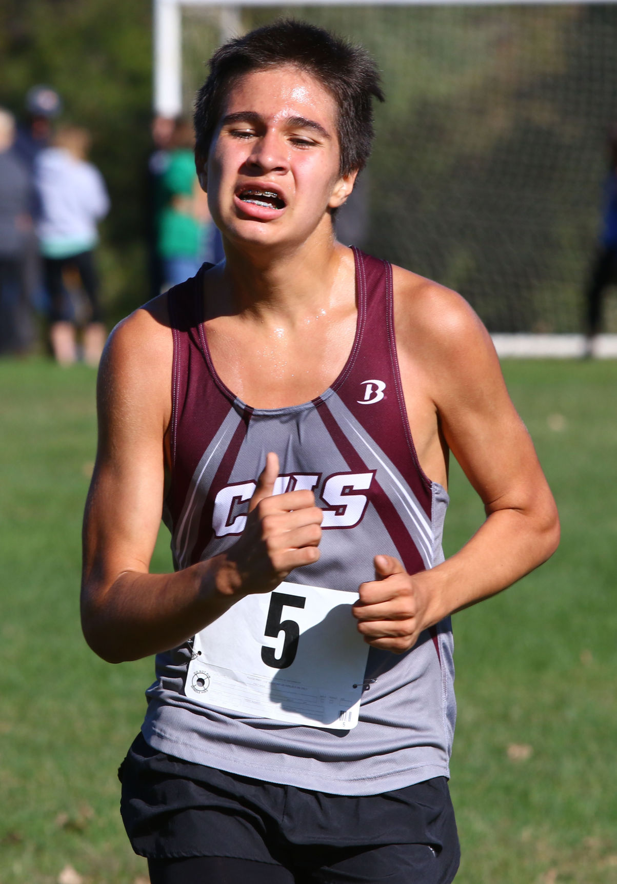 Gallery: Duneland Athletic Conference cross country meet